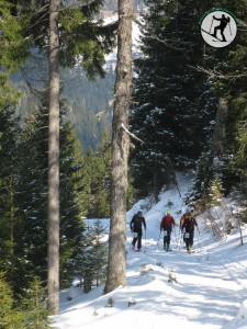 johann_vorderegger-101 